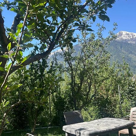 Sunface Homestay Manali  Bagian luar foto