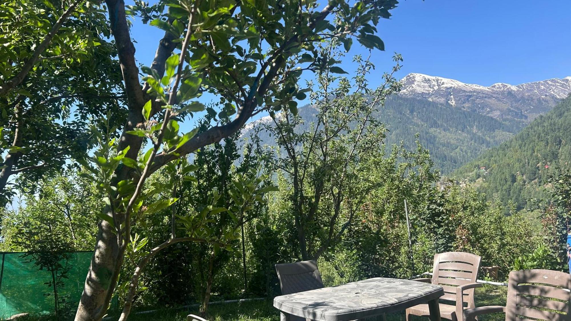 Sunface Homestay Manali  Bagian luar foto